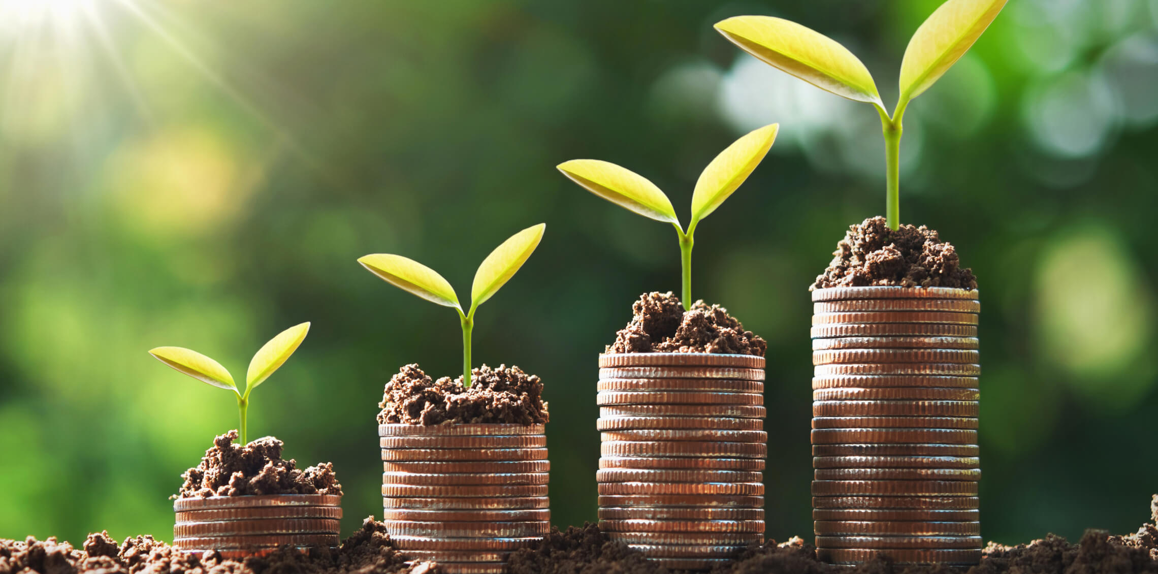 Ulgi Podatkowe w Niemczech